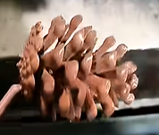 261028 05